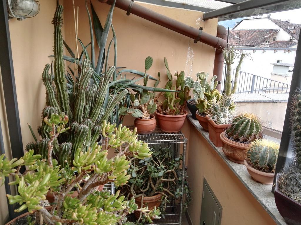 A Casa Di Gio Bed & Breakfast Torino Dış mekan fotoğraf