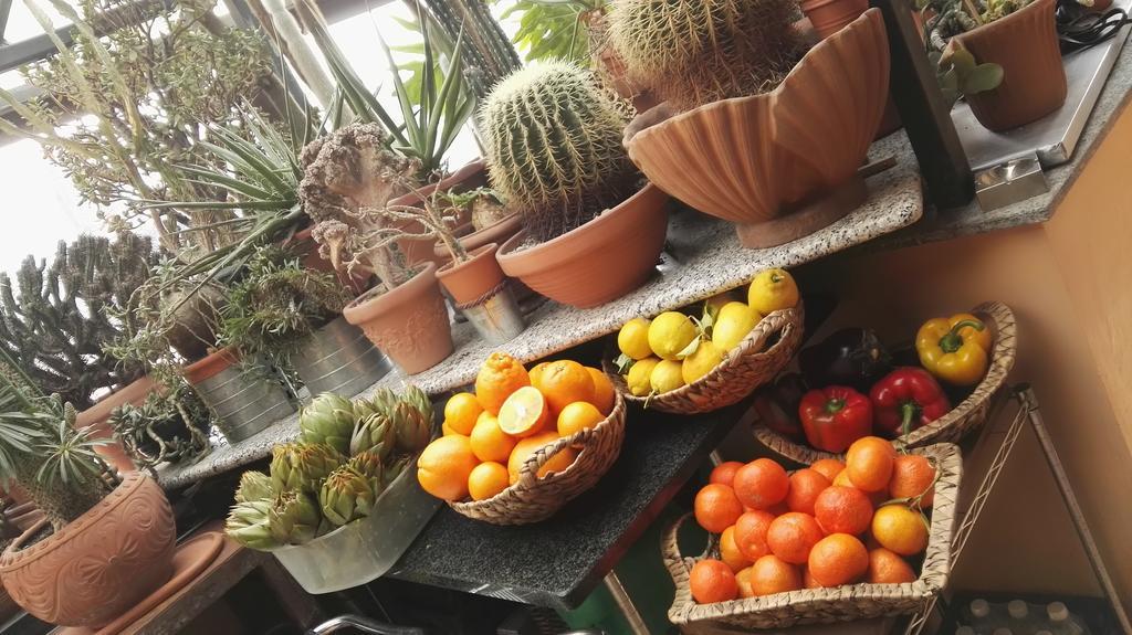 A Casa Di Gio Bed & Breakfast Torino Dış mekan fotoğraf